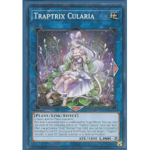 SDBT-EN041 Traptrix Cularia – Common